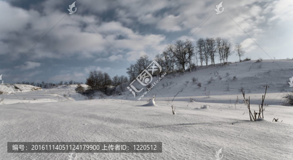 雪4。