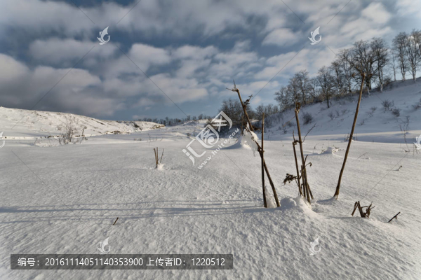 雪6。
