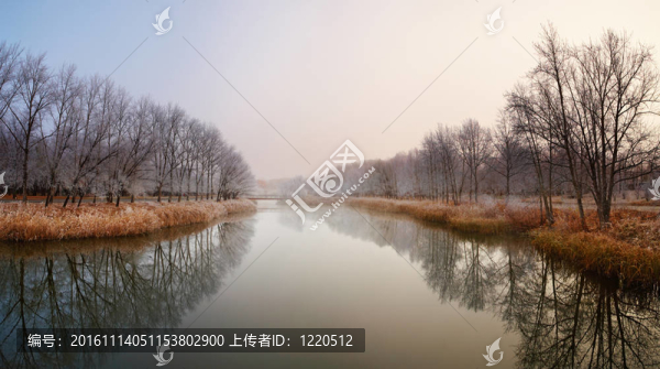 秋天的景色