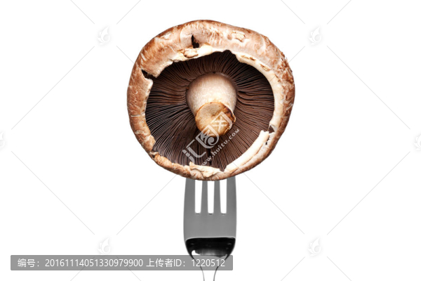 白色的叉子上的蘑菇