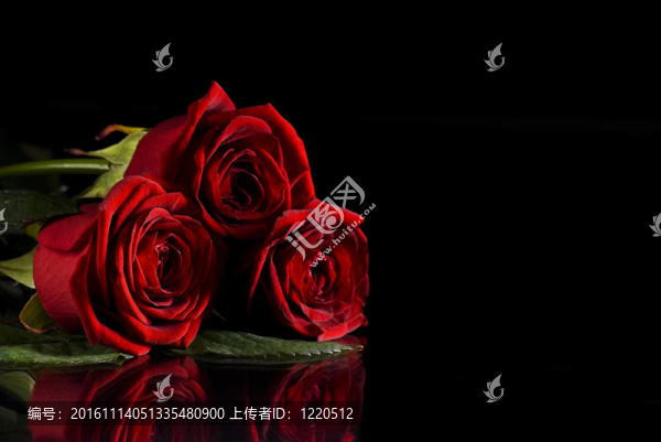 三朵紅玫瑰
