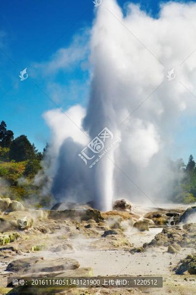 Pohutu,Geyser；新西蘭