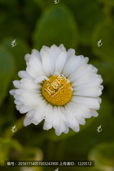 花木場(chǎng)