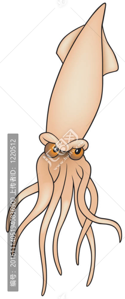 墨魚