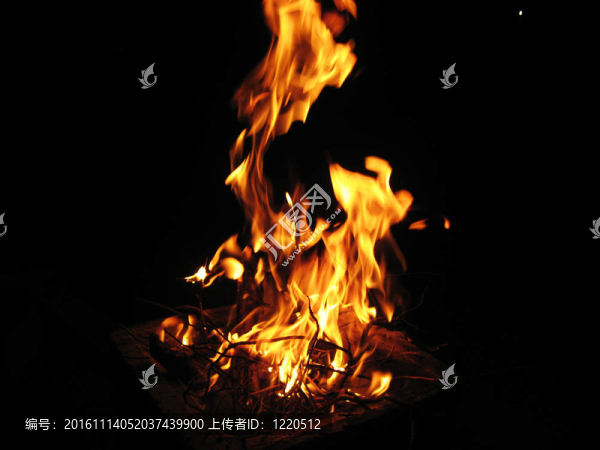 多彩和充滿活力的煙花