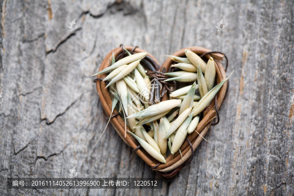 燕麥種子-匯圖網(wǎng) www.fosd68.com 燕麥種子