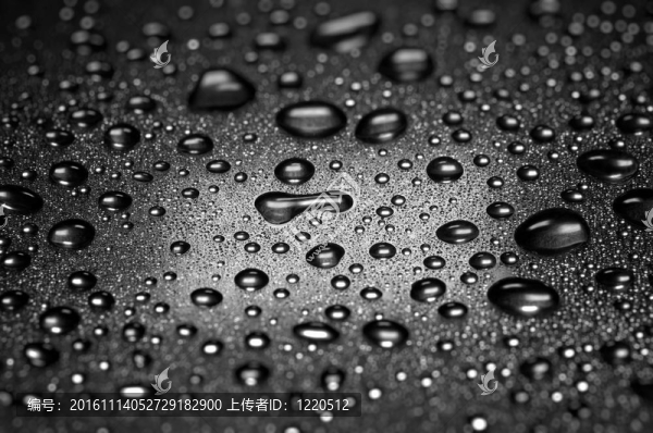 水滴；戲劇照明；淺景深