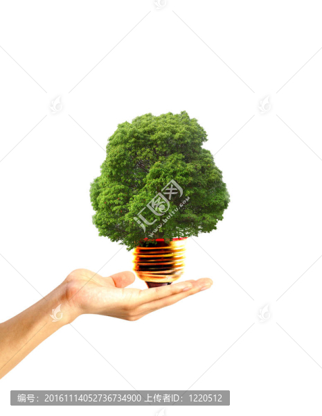 用燈泡的手拿著一棵樹