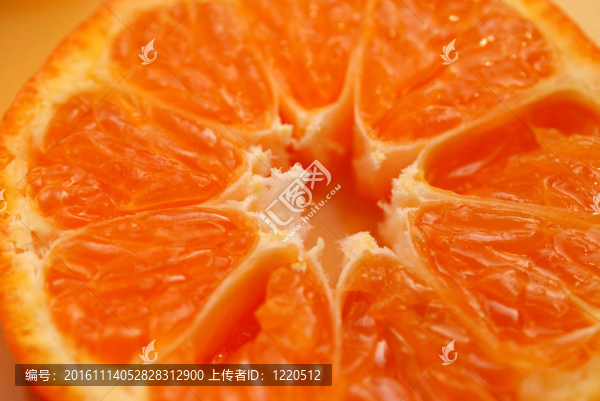 柑橘水果片