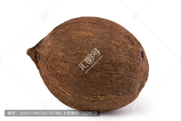 椰子仍然生活孤立