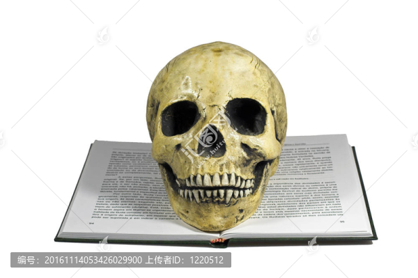 頭骨和書