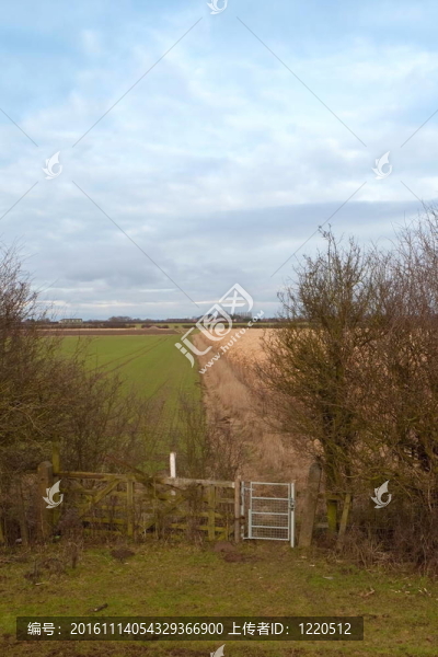 鄉(xiāng)間小路