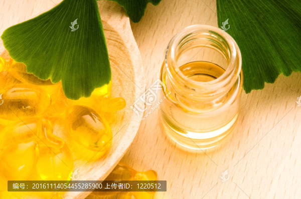 銀杏葉的揮發(fā)油與鮮葉-美容