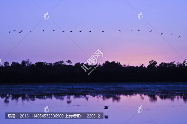 日出