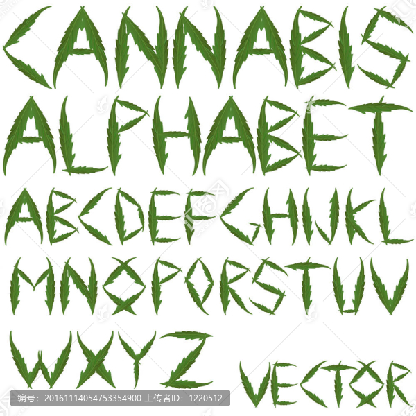 大麻葉子的字母