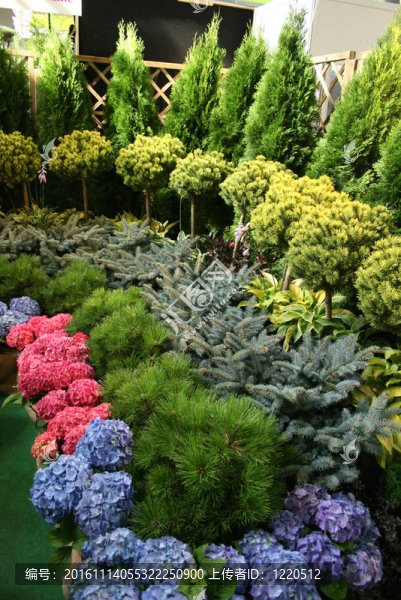 花
