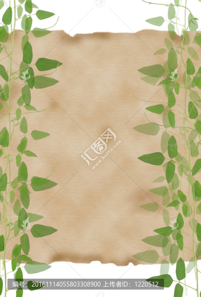 內(nèi)襯紙由天然綠葉框背景