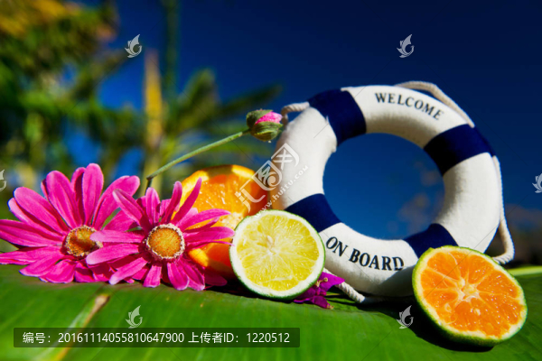 熱帶的夏天