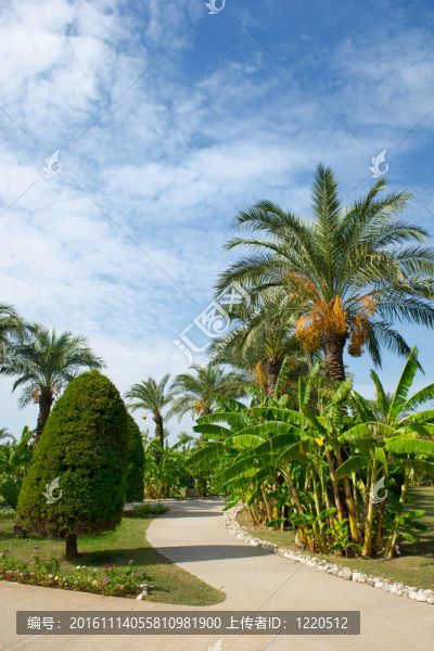 熱帶花園