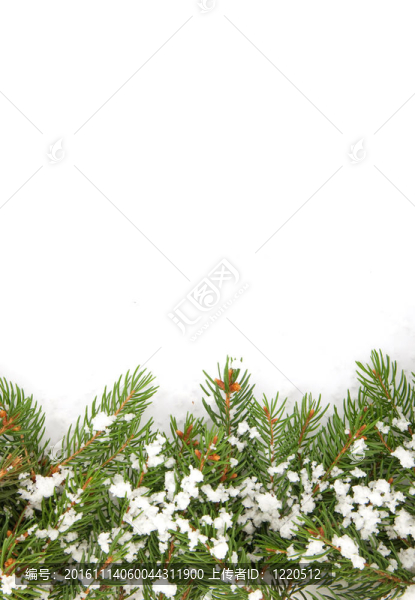 雪的圣誕框架