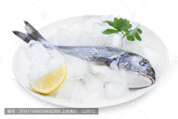 多拉多冰