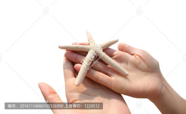 手拿著海星