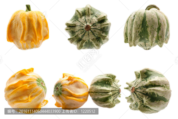 白色背景上的彩色南瓜。