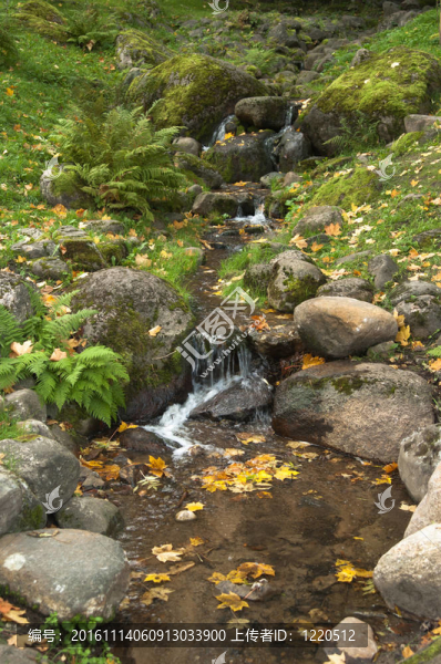 秋天的公園里的石頭
