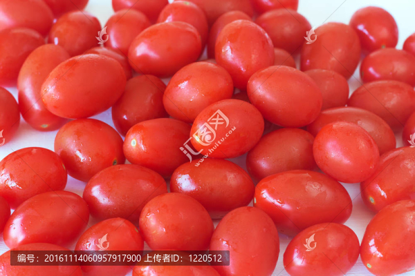 嬰兒羅薩西紅柿白色