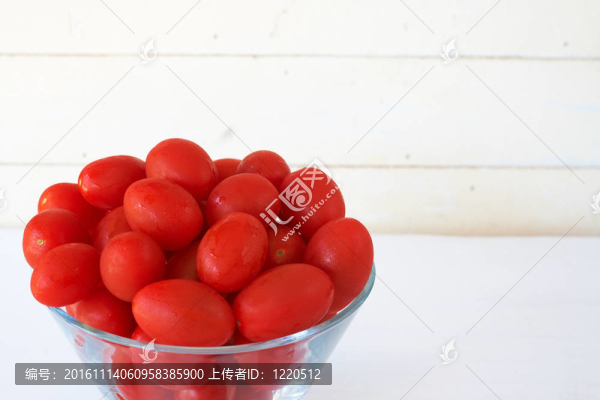 嬰兒羅薩西紅柿白色