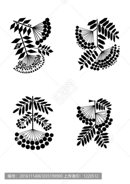 花楸樹枝化