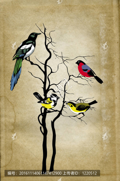 對(duì)垃圾背景樹(shù)上的鳥(niǎo)