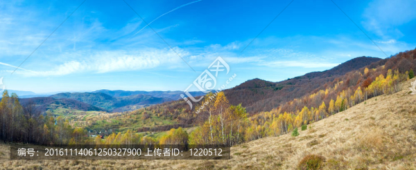 秋天的山地景觀（喀爾巴阡；烏克蘭）。