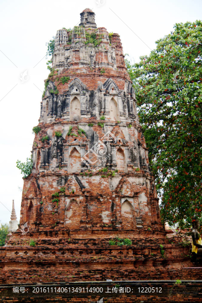 在Wat,chaiwattanaram寺塔；Ayutthaya；泰國
