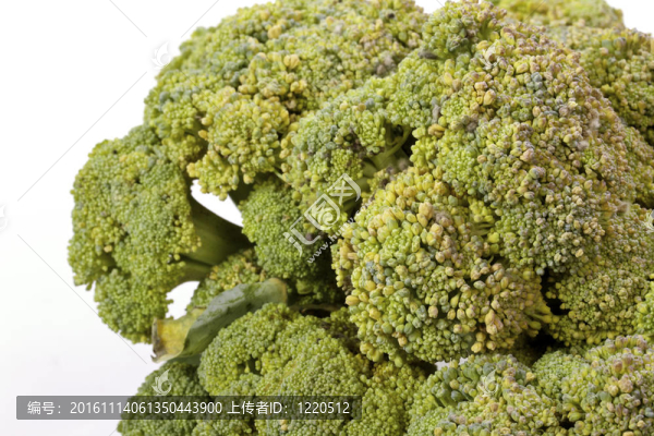 白色新鮮花椰菜