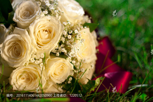婚禮花束躺在草地上