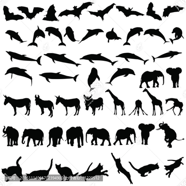 野生動物和寵物的黑色剪影
