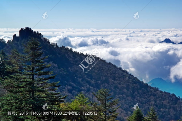 山峰。樹。云