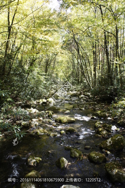 山流