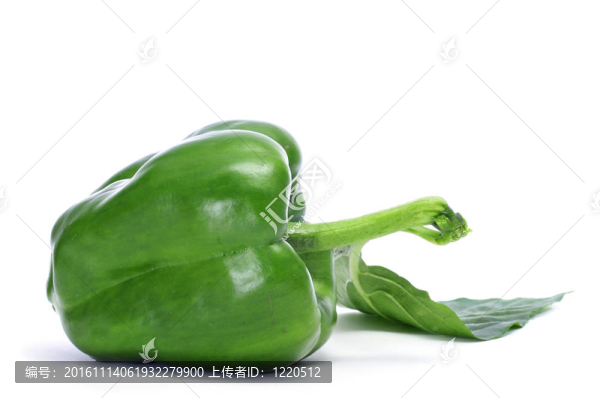 青椒-匯圖網(wǎng) www.fosd68.com 青椒
