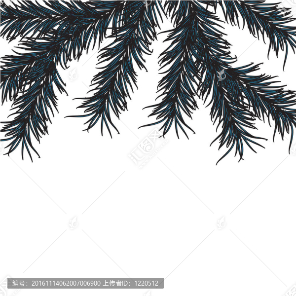 新一年的松樹(shù)