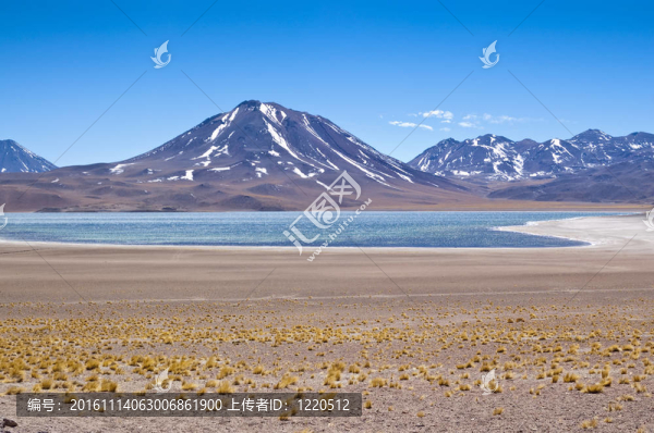 米斯坎蒂湖瀉湖