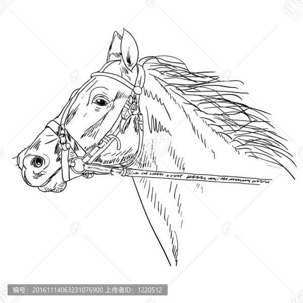 黑色的馬