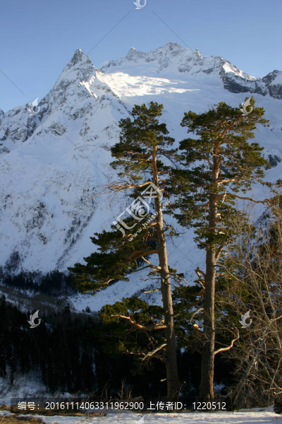 高加索山脈山區(qū)滑雪勝地