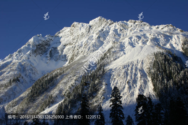 晴朗的天氣過后，一片新鮮的雪