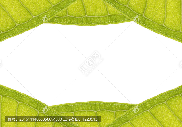 扇框