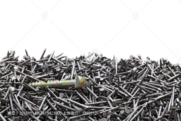 建設領導力的概念