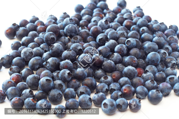 白色背景上的藍莓