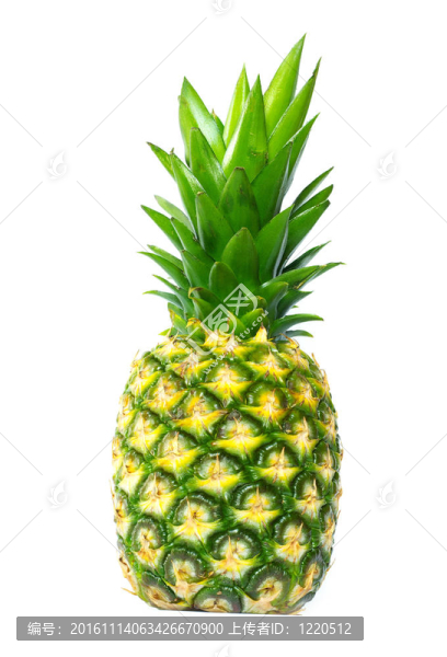 菠蘿