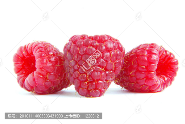 覆盆子